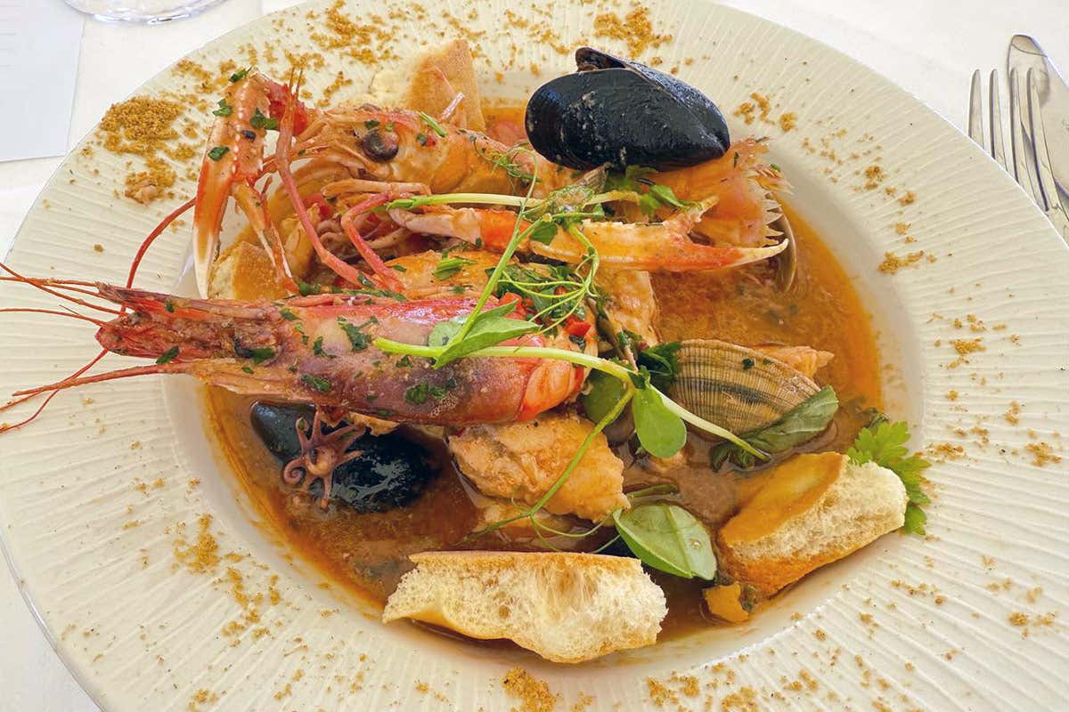 BrodettoFest 2025: Giuseppe Bizioli vince ancora con il suo Ciuppin ligure